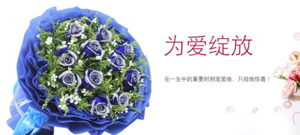 蓝色妖姬的花语和寓意