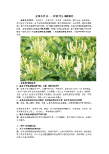 金银花花语和寓意 金银花花语与含义
金银花的花语和象征