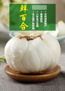鲜百合什么时候上市 鲜百合何时上市？