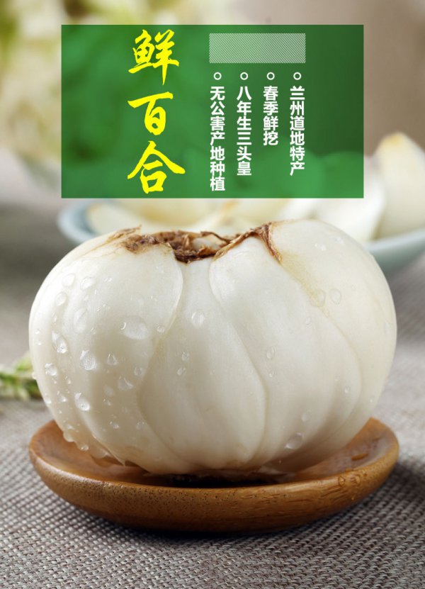 鲜百合什么时候上市