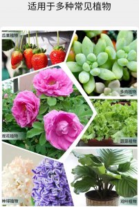 复合肥适合养什么花 复合肥适合种植哪些花卉？