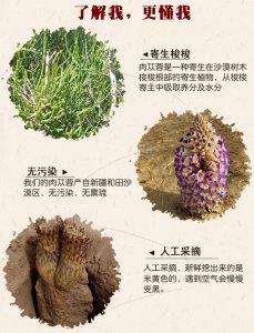 肉苁蓉亩产量多少斤 肉苁蓉每亩产量有多少斤？