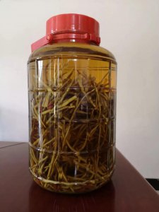 石斛兰可以浇啤酒吗 石斛兰能用啤酒来浇灌吗？