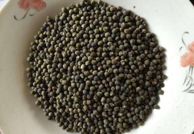 秋葵籽能种吗 秋葵种子可以播种吗？