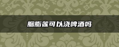 胭脂莲可以浇啤酒吗 胭脂莲能泡啤酒吗？