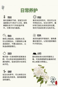 栀子花怎么养才会茂盛 如何才能使栀子花茁壮成长？