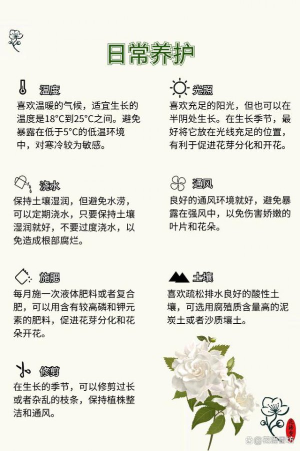 栀子花怎么养才会茂盛