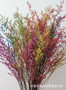 情人草干花的花语是什么 情人草干花的意义是什么？