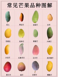 芒果有哪些品种与种类 芒果有哪些种类和品种？