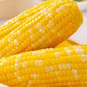 玉米有哪些品种 有哪些不同种类的玉米？