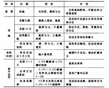 葡萄定植浇水都有哪些讲究 葡萄栽培需注意的浇水技巧