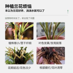 兰花一般都用什么肥料比较好 兰花最适合使用何种肥料？
