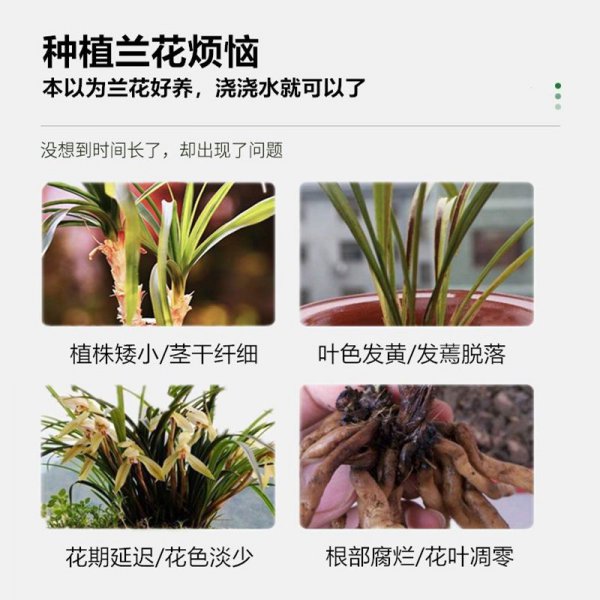 兰花一般都用什么肥料比较好