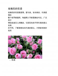玫瑰的真正含义是什么 玫瑰的象征意义是什么？