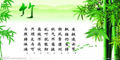 山竹的象征意义 山竹的象征意义风暴中的坚强力量