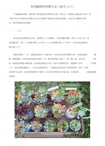 肉肉怎么养护 以肉肉如何养护->肉肉怎样进行护理