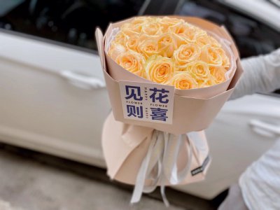 香槟玫瑰花语33朵 33朵香槟色玫瑰的花语