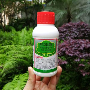 浇花用什么药 如何为花草施肥