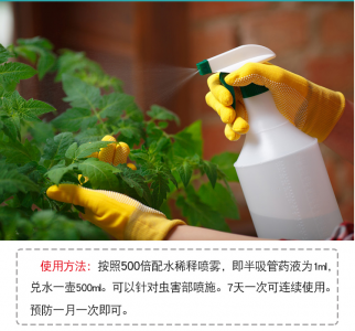 养护兰花的时候如何防虫 防虫养护兰花技巧