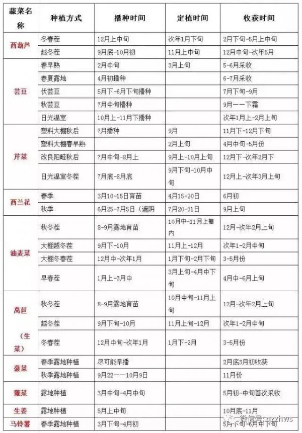 四季快菜种植时间和方法