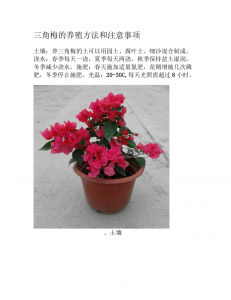 红梅花养殖方法 红梅花种植技巧

红梅花种植要领