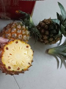 菠萝上有斑点像虫卵怎么回事 菠萝表面出现斑点是否是虫卵？