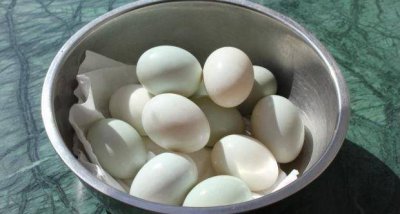 鸭蛋可以做肥料吗 鸭蛋可否用作肥料？