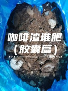 咖啡粉渣可以做肥料吗 咖啡渣能当作肥料吗？