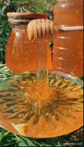蜂蜜可以做肥料吗 蜂蜜适合用作植物肥料吗？