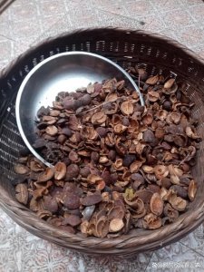 茶籽壳可以做肥料吗 茶籽壳可用作肥料吗？