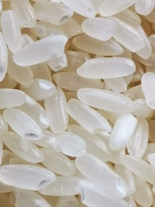 陈大米可以做肥料吗 陈大米可用作肥料吗？