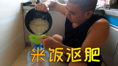 米饭可以做肥料吗 米饭是否可以用作肥料？