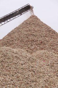 玉米芯可以做肥料吗 玉米芯可用作肥料吗？