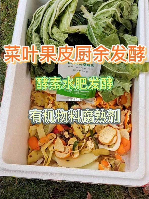 酵素可以做肥料吗