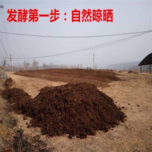 牛粪可以做肥料吗 牛粪适合作为肥料使用吗？
