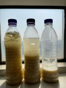 豆浆水可以做肥料吗 豆浆水可作为肥料使用吗？