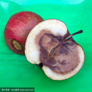 烂苹果可以做肥料吗 坏掉的苹果可否作为肥料使用？