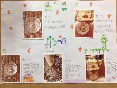 绿豆怎么发芽快 如何让绿豆快速发芽
绿豆发芽的有效方法