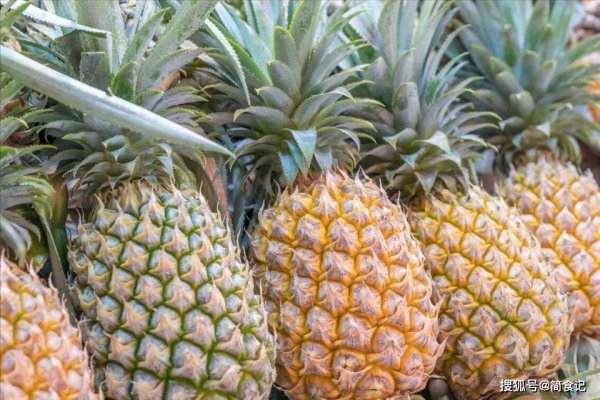 波萝几年结果实