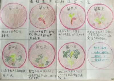 黄豆怎么发芽快 如何加速黄豆发芽
黄豆发芽的快速方法
