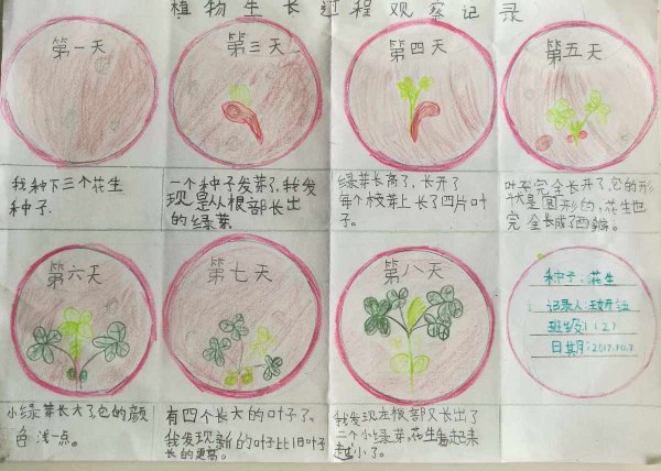 黄豆怎么发芽快