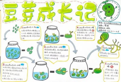青豆怎么发芽快 如何让青豆迅速发芽
青豆快速发芽的方法