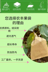 桃子什么时候套袋最佳 最佳时机套袋桃子
最佳时机为桃子套袋