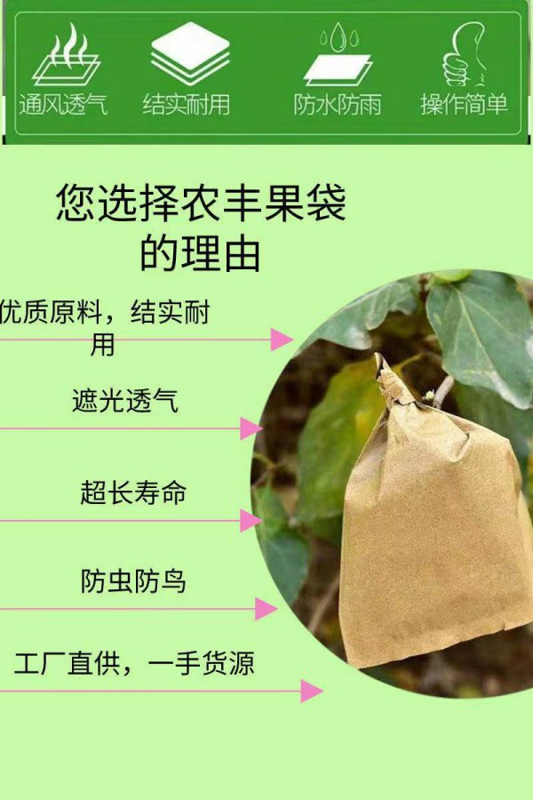 桃子什么时候套袋最佳