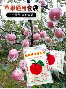 苹果什么时候套袋最佳 何时对苹果进行最佳的套袋操作？