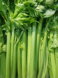 芹菜属于经济作物吗 芹菜是否算是一种经济作物？