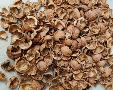 核桃壳可以做花土吗 核桃壳能否用作植物土壤？