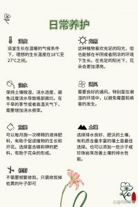 兰草多长时间浇一次水 兰草需定期浇水