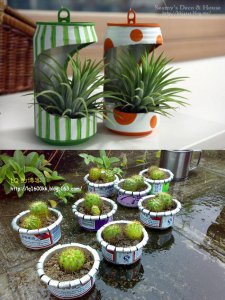 植物可以浇可乐吗 植物可以被可乐浇灌吗？