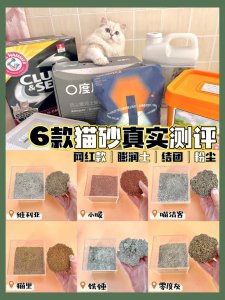 猫砂可以做花土吗 猫砂能否用作植物栽培土？